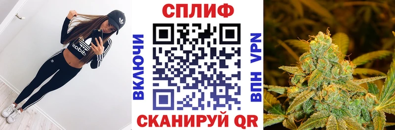 Цена Высоцк Амфетамин  МЕФ  МЕГА онион  Марихуана  ТГК 