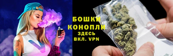 гидропоника Богданович
