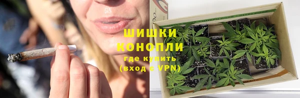 амф Верхний Тагил