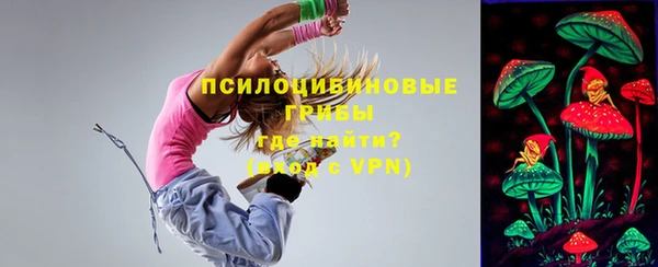 амф Верхний Тагил