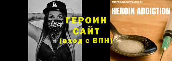 гидра Богородск