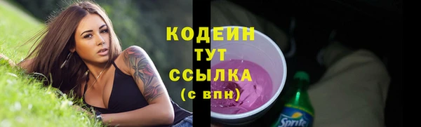 амф Верхний Тагил